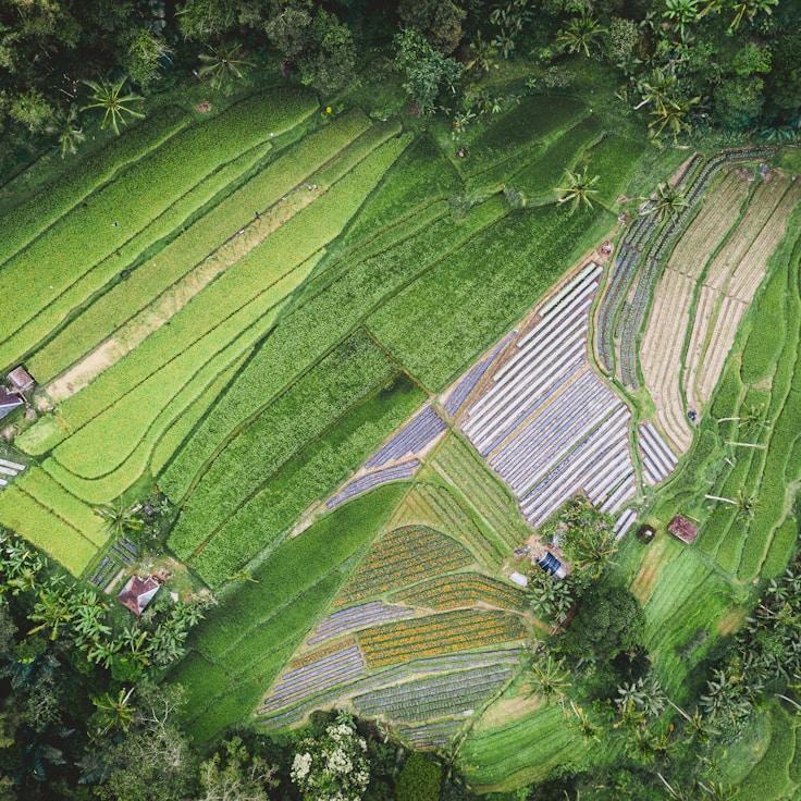 Outdoor terrace seating suitable for families in Cupertino